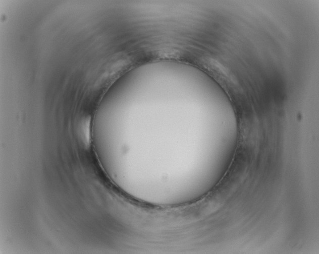 X0000089710028200706211355