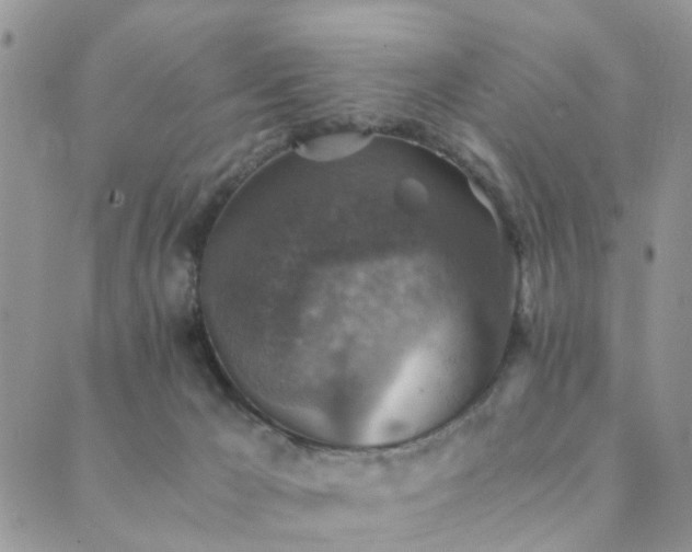 X0000089710029200706211355