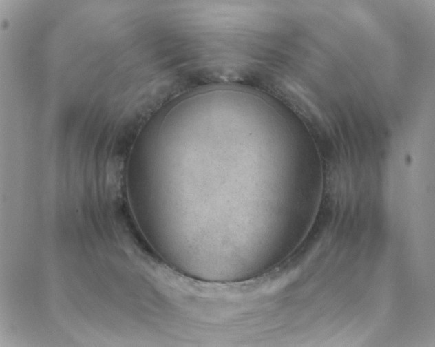 X0000089710030200706211355