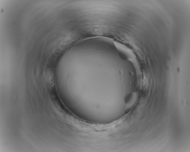 X0000089710031200706211355