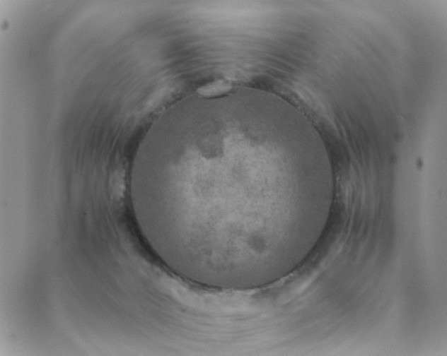 X0000089710032200706211355