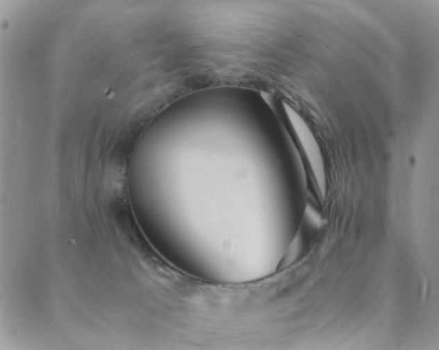 X0000089710033200706211354