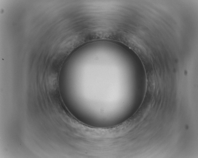 X0000089710034200706211354