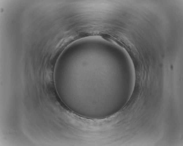 X0000089710035200706211354