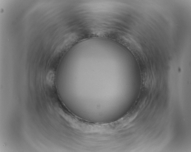 X0000089710036200706211354