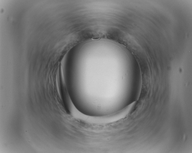 X0000089710037200706211354