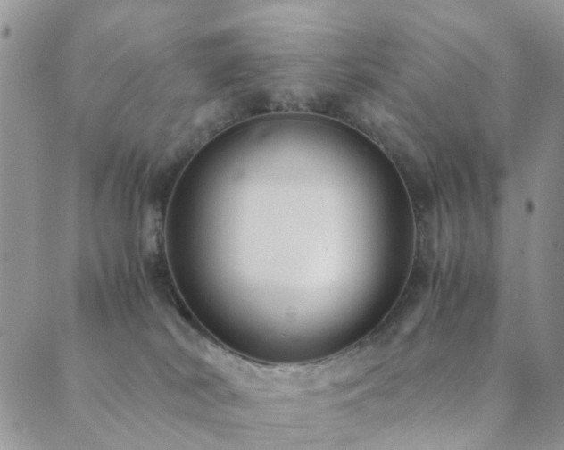 X0000089710038200706211354