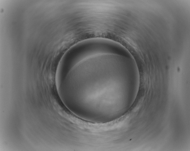 X0000089710039200706211354