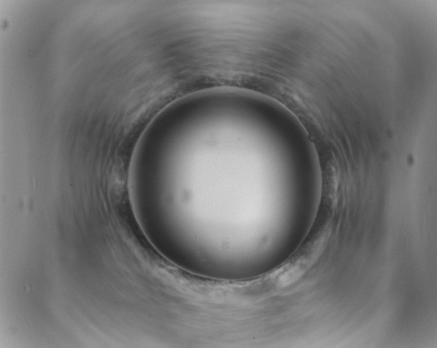 X0000089710040200706211354