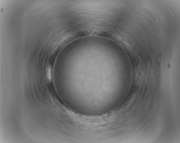 X0000089710042200706211354