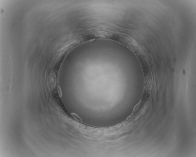 X0000089710043200706211354