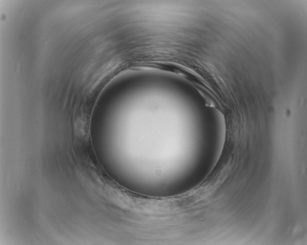 X0000089710044200706211354