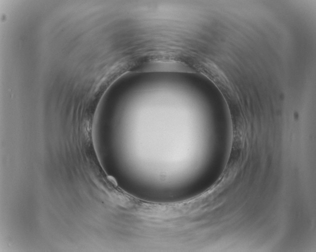 X0000089710045200706211354