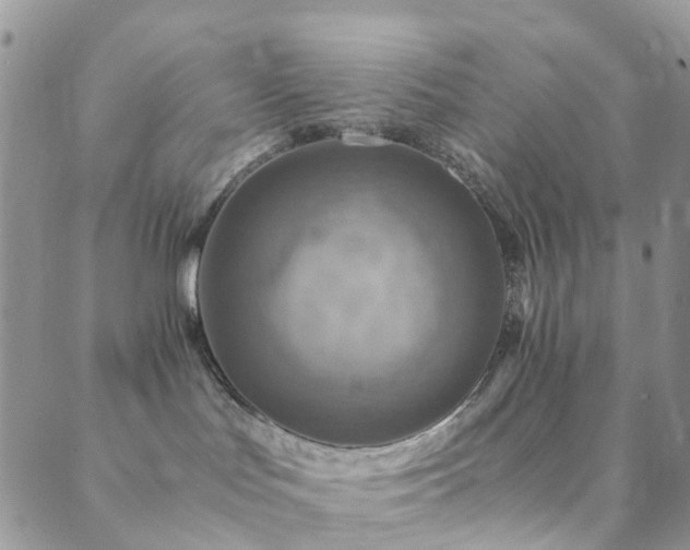 X0000089710047200706211354