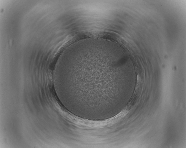 X0000089710048200706211354