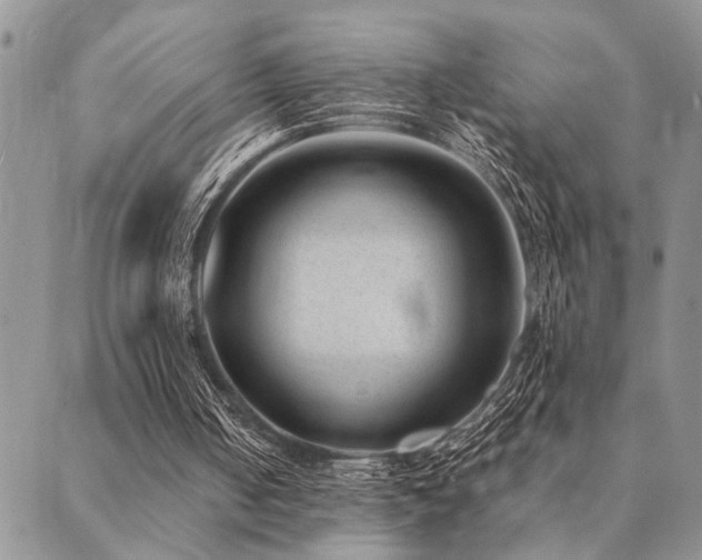 X0000089710050200706211353