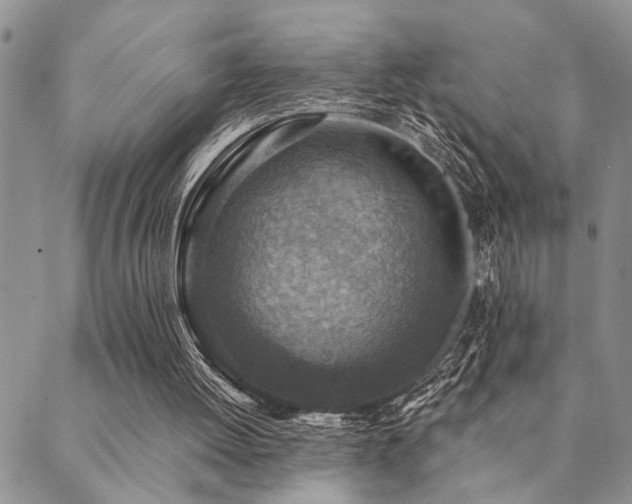 X0000089710052200706211354