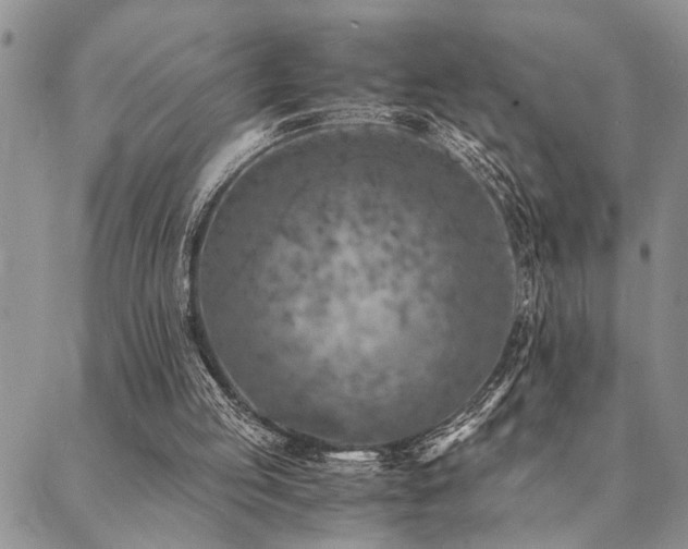 X0000089710053200706211354