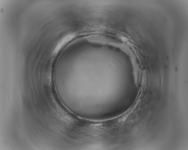 X0000089710054200706211354