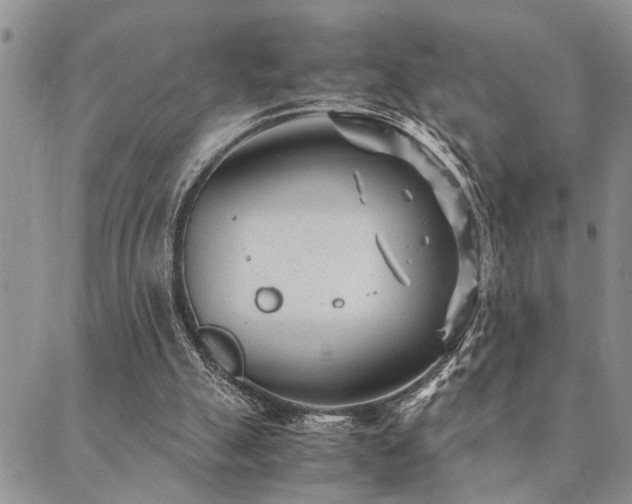 X0000089710055200706211354