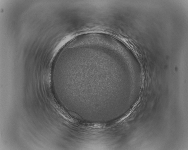 X0000089710056200706211354