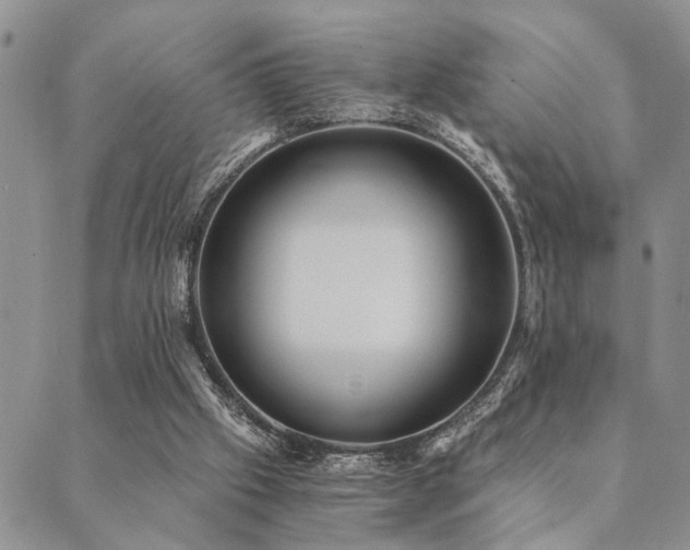 X0000089710057200706211354