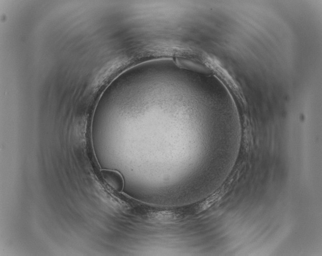 X0000089710058200706211354