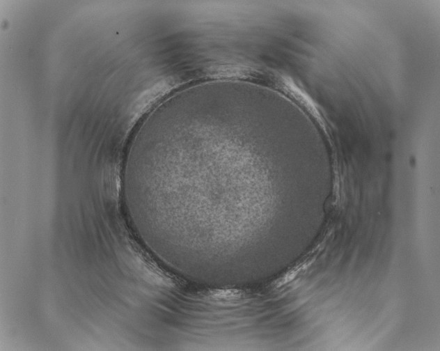 X0000089710059200706211354