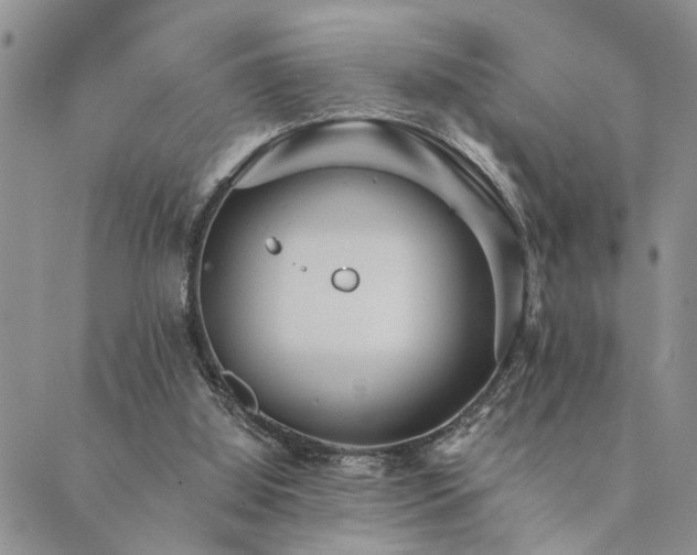 X0000089710060200706211354