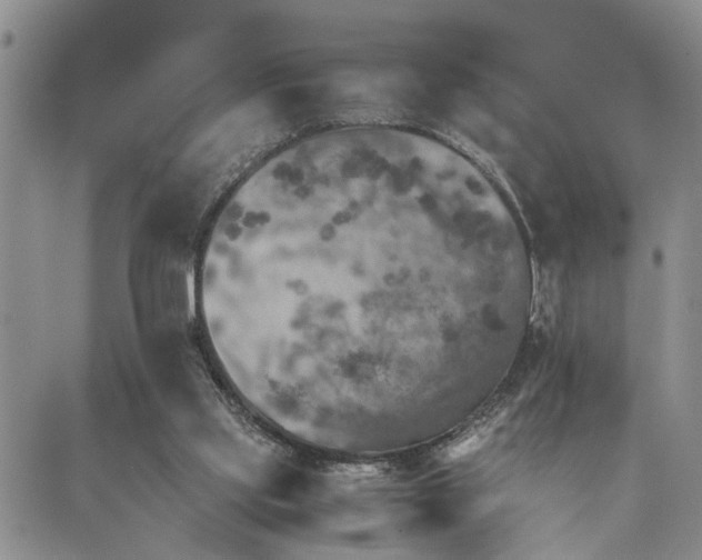 X0000089710061200706211354