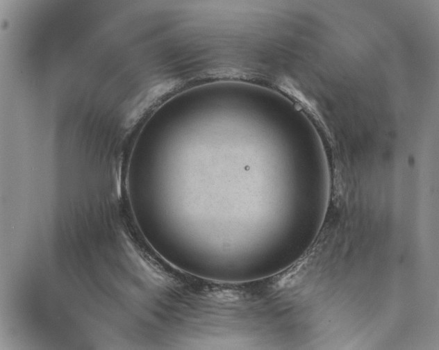 X0000089710062200706211354