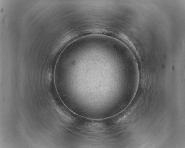 X0000089710063200706211354