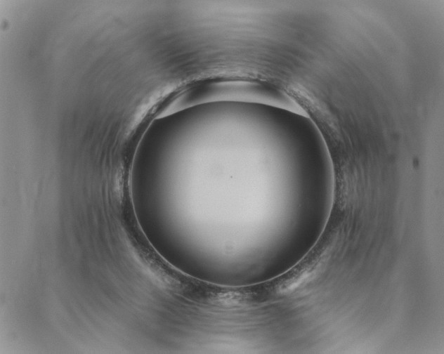 X0000089710064200706211354