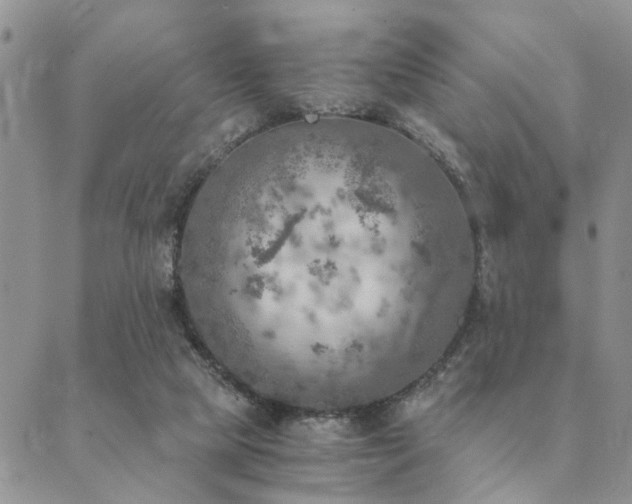 X0000089710065200706211354