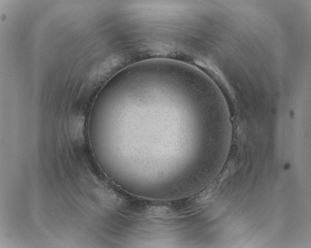 X0000089710066200706211354