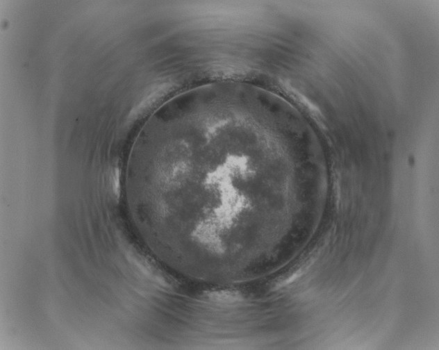 X0000089710067200706211354