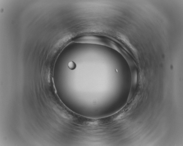 X0000089710068200706211354