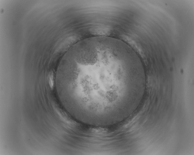 X0000089710069200706211354