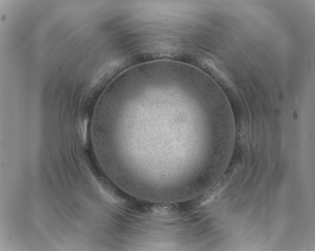 X0000089710070200706211354