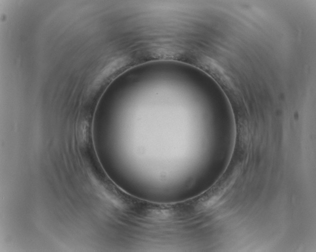 X0000089710071200706211354