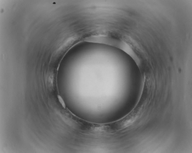 X0000089710072200706211354