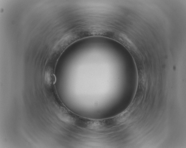 X0000089710074200706211354