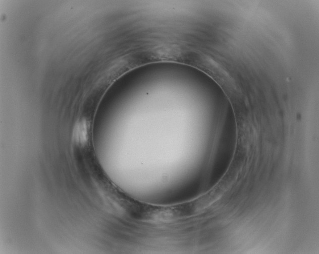 X0000089710075200706211354