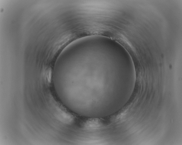 X0000089710076200706211354