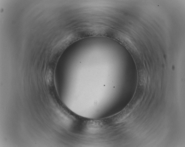 X0000089710077200706211354