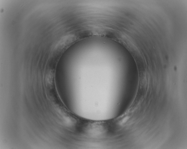 X0000089710078200706211354