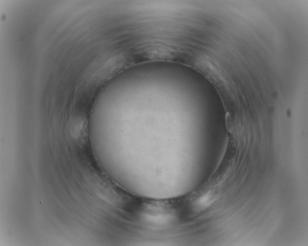 X0000089710079200706211354