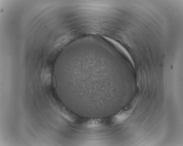 X0000089710080200706211354