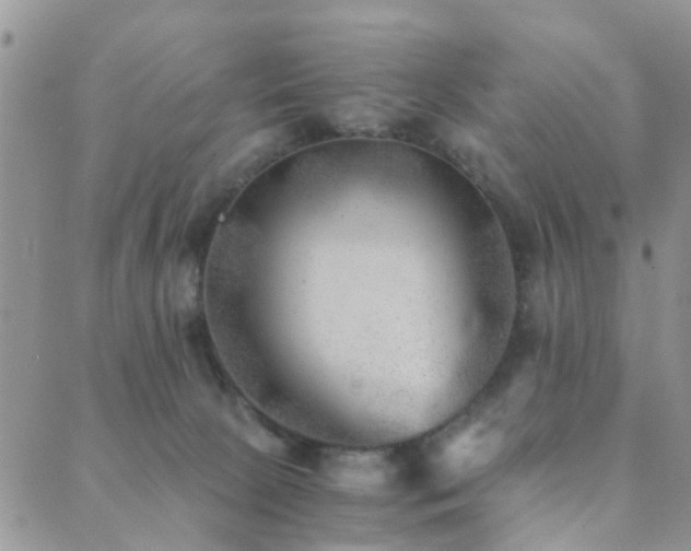 X0000089710081200706211354