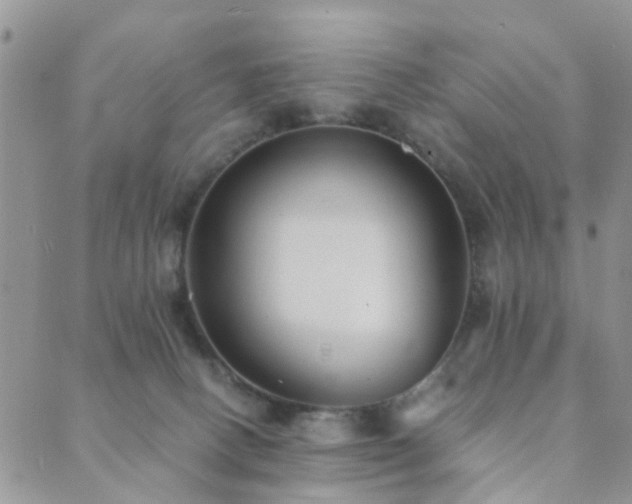 X0000089710082200706211354